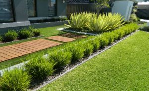 Artificial grass wangara Fake grass installation around pool