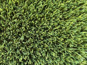 Swan Valley Buffalo Artificial grass Perth Wa turf gurus
