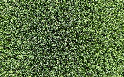 Synthetic Grass installation Perth-{Pro Guide}-WA Turf Gurus